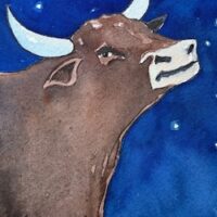 Book Cover of 'Stellar Celebrations'